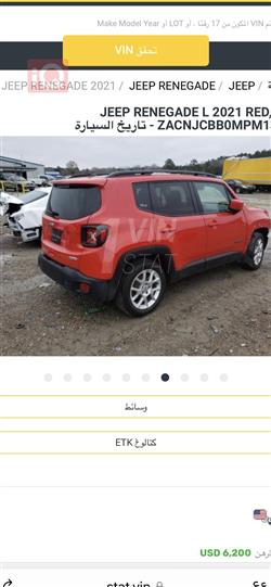 جيب رينيجيد